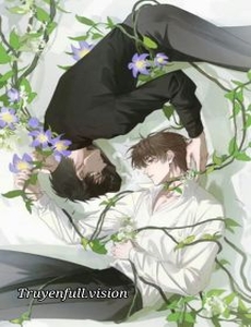 Bầu Sao Ôm Vào Lòng