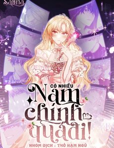 Có Nhiều Nam Chính Quá Đi!