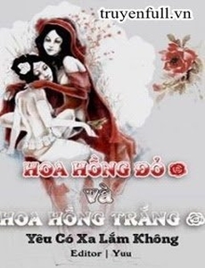 Hoa Hồng Đỏ Và Hoa Hồng Trắng