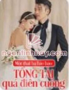 Một Thai Ba Bảo Tổng Tài Quá Điên Cuồng