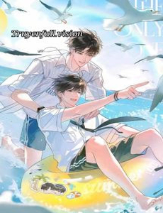 Tình Trường Nam Thần