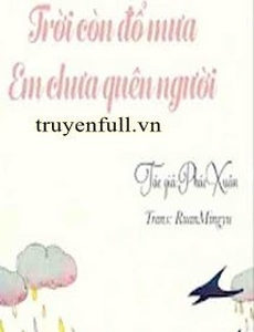 Trời Còn Đổ Mưa, Em Chưa Quên Người