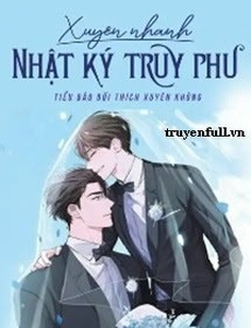 Xuyên Nhanh Nhật Ký Truy Phu