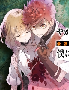 Yagate Eiyuu Ni Naru Saikyou Shujinkou Ni Tensei Shitakedo, Boku Ni Wa Ni Ga Omokatta You Desu